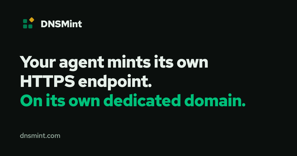 dnsmint.com image